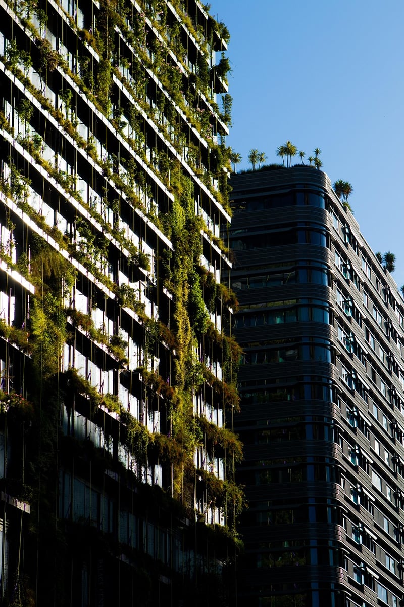 Urban Herb Gardening