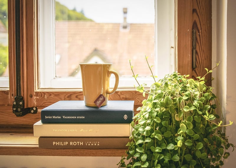 Houseplant